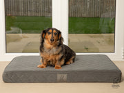 Collared Creatures Grey Velour Luxury Mattress Dog Bed