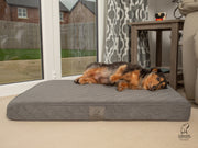 Collared Creatures Grey Velour Luxury Mattress Dog Bed