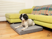 Collared Creatures Grey Velour Luxury Mattress Dog Bed