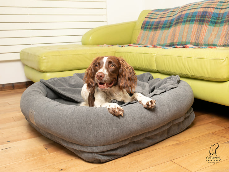 Collared Creatures Grey Bolster Hoodied Dog Bed - With Removable Hood