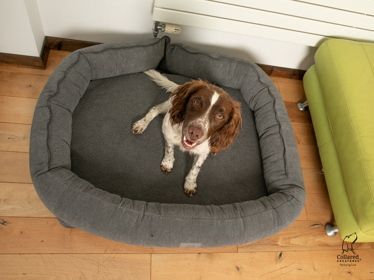 Collared Creatures Grey Bolster Hoodied Dog Bed - With Removable Hood