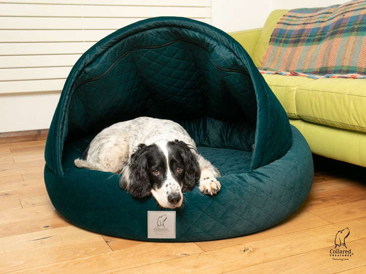Teal Quilted Velour Deluxe Comfort Cocoon Dog Bed|collaredcreatures