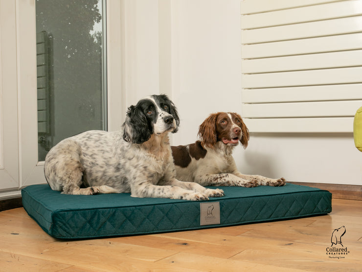 Collared Creatures Teal Velour Luxury Mattress Dog Bed