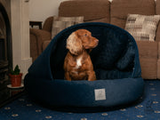 The luxury Collared Creatures Sapphire Blue Quilted Velour Deluxe Comfort Cocoon Dog Cave Bed