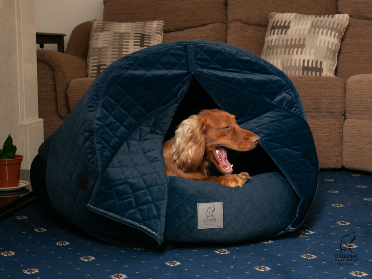 The luxury Collared Creatures Sapphire Blue Quilted Velour Deluxe Comfort Cocoon Dog Cave Bed