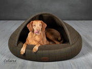 Green Tweed Deluxe Comfort Cocoon Dog Cave Bed - Collared Creatures