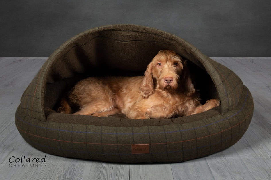 Collared Creatures Cocoon Dog Beds | Cocoon Beds for Dogs | Collared Creatures – Collared ...