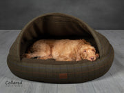 Green Tweed Deluxe Comfort Cocoon Dog Cave Bed - Collared Creatures