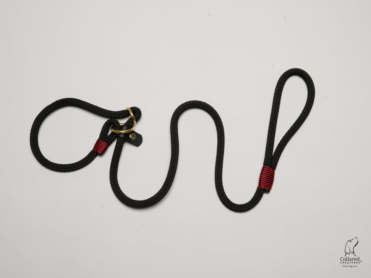 handmade-black-rope-slip-lead-with-whipping|collaredcreatures