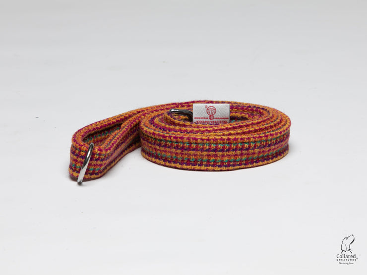 Bright & Bold  Check Luxury Harris Tweed Dog Collar