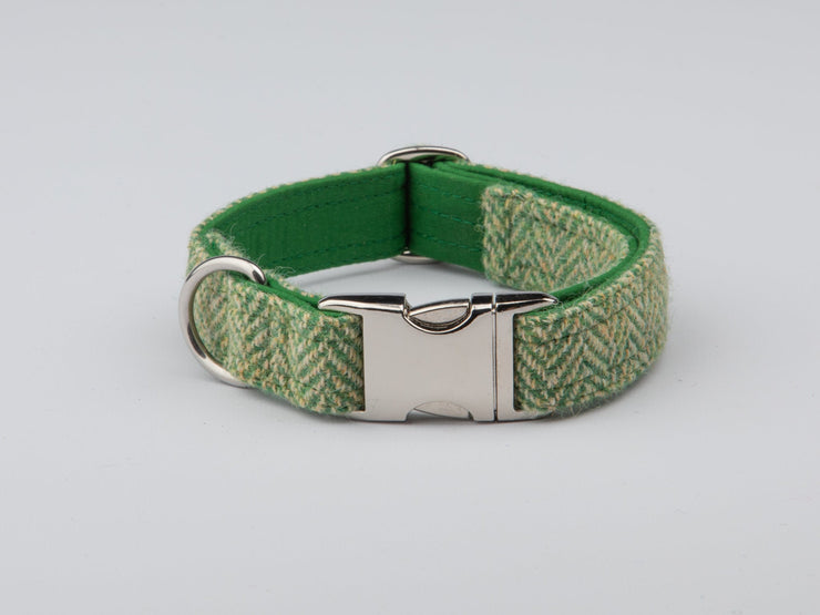 Green Herringbone Harris Tweed  Dog Collar - Collared Creatures