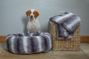 Tan and white beagle standing at the side of a Collared Creatures luxury grey faux fur donut dog bed with matching luxury grey faux fur dog blanket - sofa throw at the side
