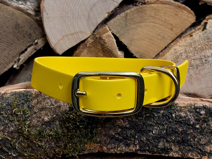 Yellow Waterproof Biothane Dog Collar Handmade in Yorkshire