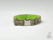 Collared Creatures, Abraham Moon, Bibury-Lichen, Luxury Dog Collar, alumax steel clasp