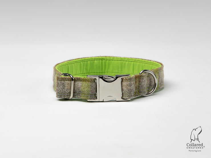 Collared Creatures, Abraham Moon, Bibury-Lichen, Luxury Dog Collar, alumax steel clasp