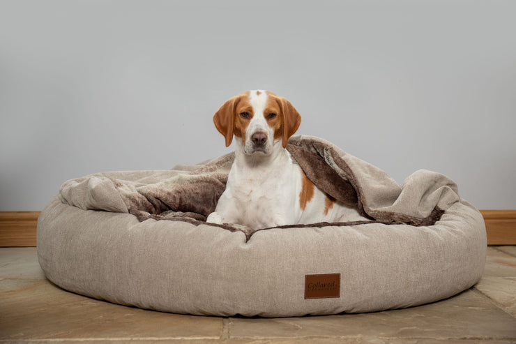 beige-classic-comfort-cocoon-dog-calming-anxiety-bed|collaredcreatures