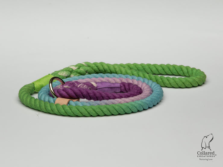 Collared Creatures Green and Purple Ombre Dip Dyed Dog lead