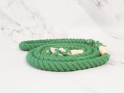 Collared Creatures Pale Green Ombre Dip Dyed Dog clip lead 