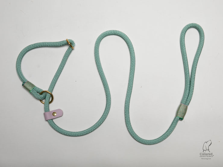Handmade Rope Slip Lead Mint Media |collared creatures
