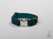 product photo of collared creatures Teal with a touch of blue Harris Tweed luxury dog collar