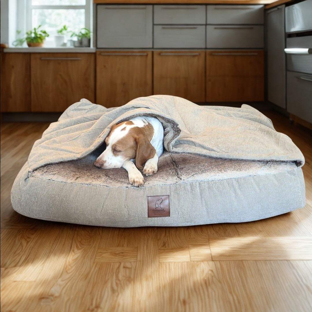 Dog relaxing in Collared Creatures Snuggle Bed with cover in kitchen